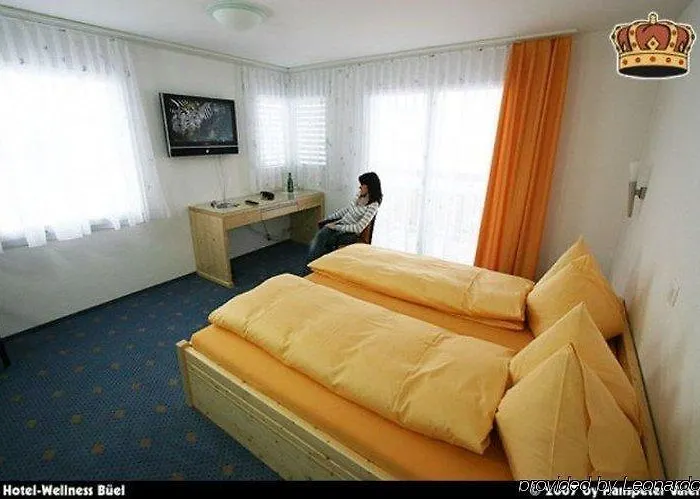 Bueel Saint Antonien